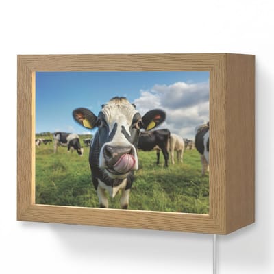 Wandlamp 20x15 cm - Oplaadbaar - Koe - Tong - Weide - Wandlampen binnen woonkamer - Slaapkamer lamp met kabel - Decoratieve nachtlamp - Vloerlamp snoer