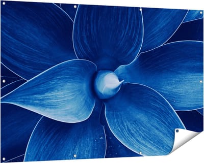 Gards Tuinposter Blauwe Agave Plant - Bloem - 150x100 cm - Tuindoek - Tuindecoratie - Wanddecoratie buiten - Tuinschilderij