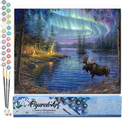 Figured'Art Schilderen op Nummer Volwassenen canvas Elan en Aurore Boreaal - Handwerk acrylverf Kit DIY Compleet - 40x50cm zonder frame