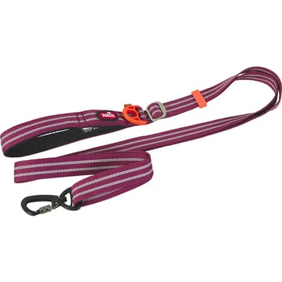 Verstelbare Hondenriem ZOLUX Bivouak - Rood, Lichtgewicht, 2m x 2.5cm