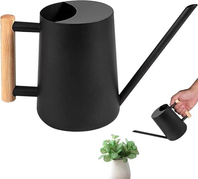 Mini Gieter voor Binnenplanten - RVS Bonsai Waterkan met Lange Tuit voor Huishoudelijke Planten, Kruidentuin en Bloemen - Ideaal voor Binnen en Buiten Gebruik