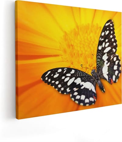 Artaza Canvas Schilderij Bloem Met Vlinder - 50x40 cm - Muurdecoratie Vlinders - Wanddecoratie Bloemen - Schilderijen Op Canvas