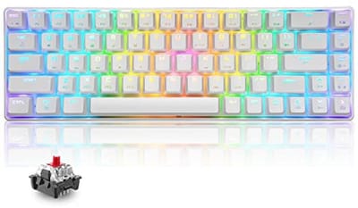 T8 RGB 60% Mechanisch Toetsenbord, Bedraad Gamingtoetsenbord Compact 65% Layout, 18 RGB LED-Backlit QWERTY Mini 68 Toetsen Full Keys Anti-ghosting voor PS4, Xbox, PC, Laptop, MAC - White/Red Switch