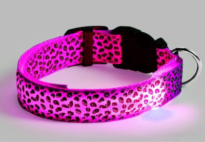 Furley's Lichtgevende LED Halsband Hond - Hondenriem Verlichting met Batterij - Hondenverlichting Halsbanden Lichtgevend - Size M - Roze