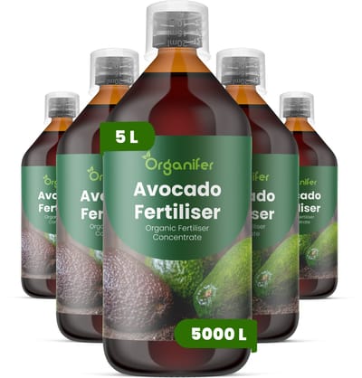 Vloeibare Meststof Voor Avocado 5X1 L Voor 5000 L - Npk 2-1-8 - Avocadobomen - Krachtige Groei - Sterke Takken - Bladgezondheid - Kleurintensiteit - Kroonontwikkeling - Sterk Wortelstelsel - Nutriëntenopname - Herstel Na Snoei - Organifer