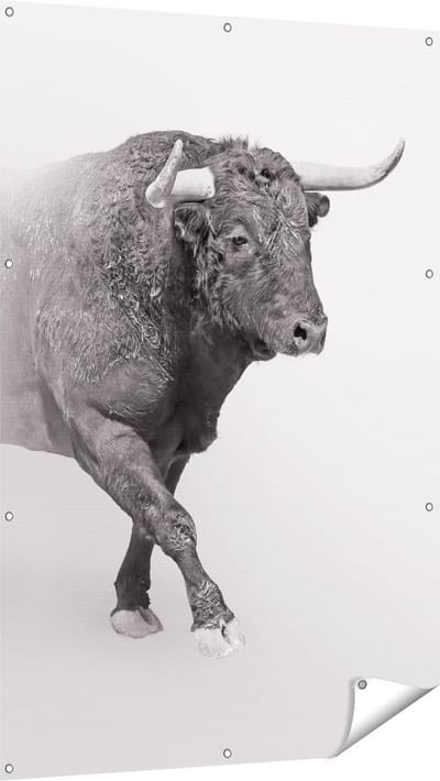 Gards Tuinposter Stier op een Grijze Achtergrond - Zwart Wit - 100x150 cm - Tuindoek - Tuindecoratie - Wanddecoratie buiten - Tuinschilderij
