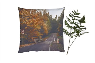 Sierkussens - Kussentjes Woonkamer - 40x40 cm - Bomen - Weg - Herfst