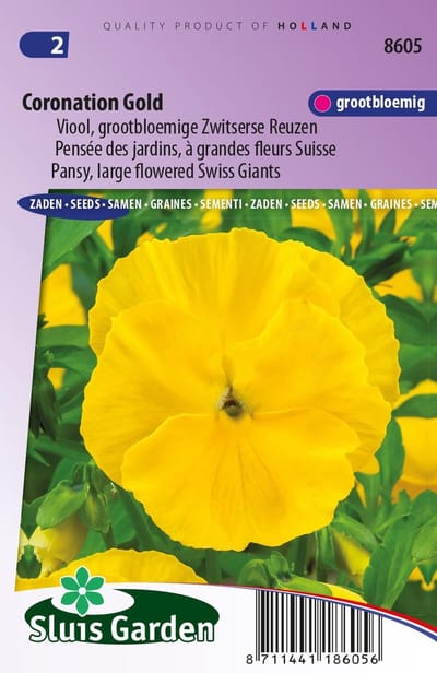 Sluis Garden - Viool Coronation Gold (Viola)