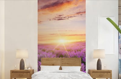 Behang - Fotobehang Lavendel - Zon - Bloemen - Breedte 120 cm x hoogte 240 cm