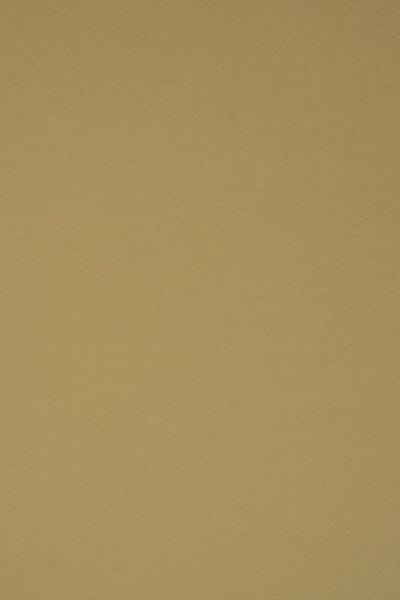 Netuno - bruin ecologisch papier - A4 - 21 x 29,7 cm - 10 vellen - 360 gram - Materica Kraft