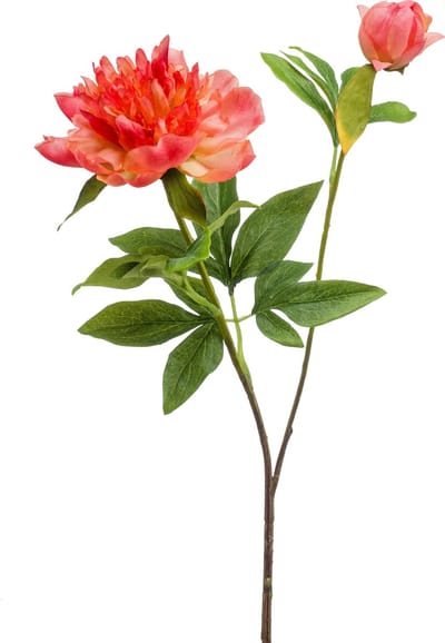 Emerald - Kunstbloem Pioenroos Sarah 73cm koraal - Kunstplant voor binnen