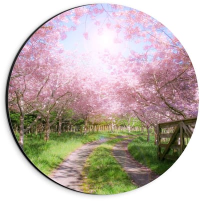 Dibond Wandcirkel - Zandpad tussen de Roze Bomen  - 20x20cm Foto op Aluminium Wandcirkel (met ophangsysteem)