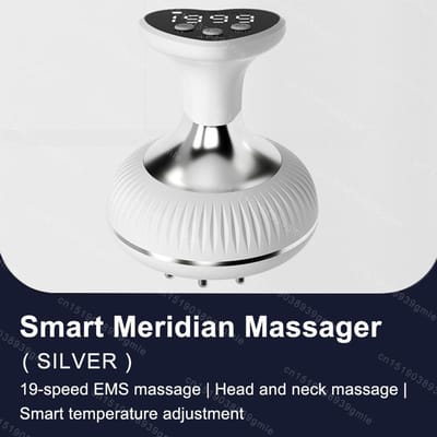 Elektrische Meridiaan Borstel Gua Sha Lichaamsmasseur EMS Microstroom Warme Compressie Schrapen Lymfedrainage Machine Vetverbrander