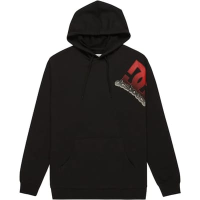 Hoodie DC Shoes Solid Lefty
