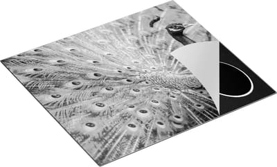 Chefcare Inductie Beschermer Pauw met Kleurrijke Veren - Zwart Wit - 60x50 cm - Afdekplaat Inductie - Kookplaat Beschermer - Inductie Mat