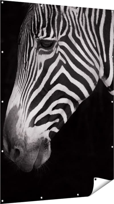 Gards Tuinposter Zebra Kop vanaf de Zijkant - Zwart Wit - 120x180 cm - Tuindoek - Tuindecoratie - Wanddecoratie buiten - Tuinschilderij