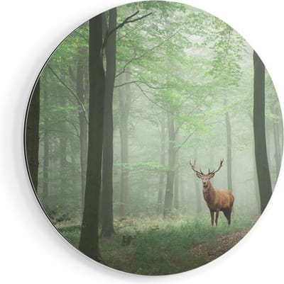 Artaza Dibond Muurcirkel Hert In Bos - Ø 70 cm - Wandcirkel - Rond Schilderij - Voor Binnen en Buiten