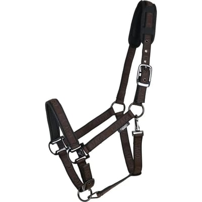 Pony halster Catago