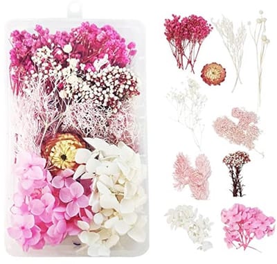 Natuurlijke Gedroogde Bloemen voor Hars, Decoratie, Doe-het-zelf Sieraden, Kaars, Nail Art, Handwerk, Scrapbooking