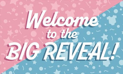 LUQ – Gevelvlag Big Reveal – 150x90cm – XXL Polyester Vlag – Feestdecoratie Binnen & Buiten Versiering – Direct Ophangen