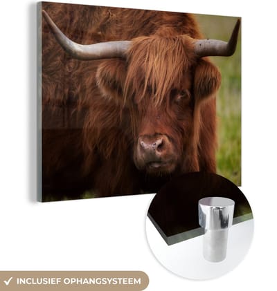 MuchoWow® Glasschilderij 160x120 cm - Schilderij acrylglas - Schotse Hooglander - Oranje - Dieren - Foto op glas - Schilderijen