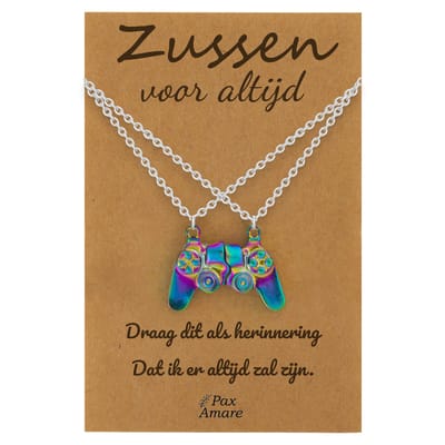 BFF Ketting voor 2 'Zussen voor altijd' - Magnetische Controller - Vriendschapsketting op Cadeau Kaartje - 45cm + 5cm verstelbaar - Zilverkleurig met Regenboog effect - Sisters Hanger - Pax Amare
