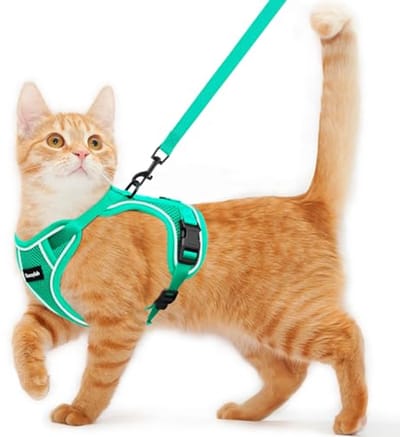 Kattenharnas en Riem voor Wandelen - Ademend, Verstelbaar en Ontsnappingsbestendig Vest voor Katten en Kittens