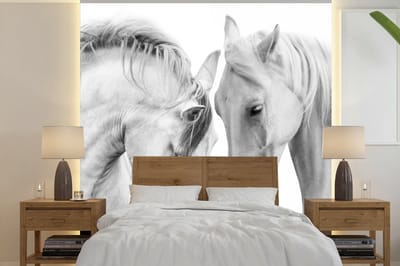 Behang - Fotobehang Paard - Dieren - Portret - Wit - Breedte 220 cm x hoogte 220 cm