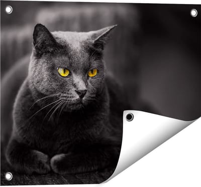Gards Tuinposter Zwarte Kat met Gele Ogen - 50x40 cm - Tuindoek - Tuindecoratie - Wanddecoratie buiten - Tuinschilderij