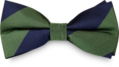 Groen & Marineblauw Gestreepte Zijden Vlinderdas
