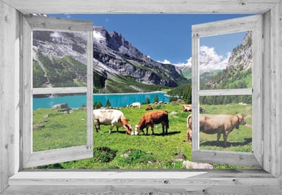 Tuindoek doorkijk - 130x95 cm - openslaand wit venster naar bergwei met koeien - tuinposter - tuin decoratie - tuinposters buiten - tuinschilderij - balkon decoratie