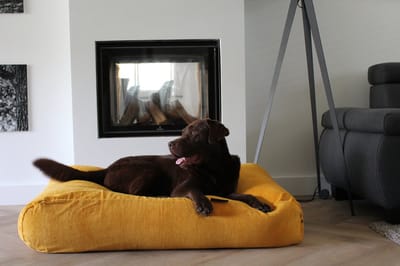 Dog's Companion Hondenkussen / Hondenbed - XS - 55 x 45 cm - Okergeel Ribcord