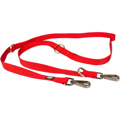 Nylon hondenriem Duvoplus Explor North Duo