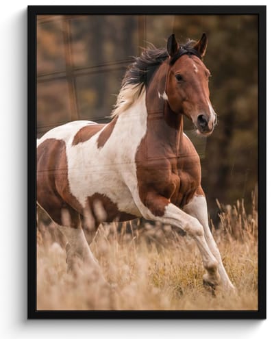 Poster in lijst - Fotolijst 60x80 cm - Posters - Paard - Bruin - Gras - Posterlijst zwart - Decoratie - Wanddecoratie woonkamer - Muurdecoratie slaapkamer