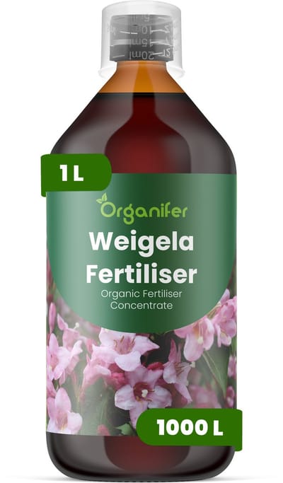 Vloeibare Meststof Voor Weigela - 1 L Voor 1000 L - Npk 2-1-8 - Bevordert Rijke Bloei En Sterke Knopontwikkeling - Verbetert Bladkleur En De Totale Sierwaarde - Versterkt Stengels En Verbetert De Plantstructuur - Organifer
