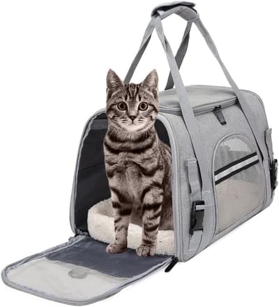 Lexium Katten Vervoersbox - Kattenvervoersbox - Reistas Katten - Reismand - Kattendraagtas - Transporttas
