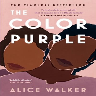 The Color Purple door Alice Walker Paperback Boek 9781474607254