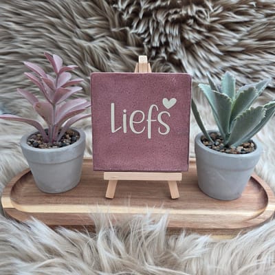 Robuust Wenstegeltje – Liefs – Hip trendy tegeltje – Cadeau voor Nieuwe Woning, Housewarming of Gezinscadeau – Sfeervol en Persoonlijk - Vriend(in) – Trendy nu – Decoratief Tegeltje met Standaard – Cadeau Idee