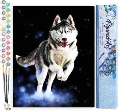 Figured'Art Schilderen op Nummer Volwassenen - Husky canvas acrylverf kit 40x50cm