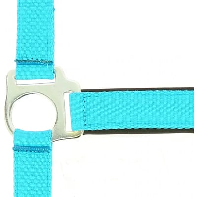 Halster voor paarden Norton Fluo