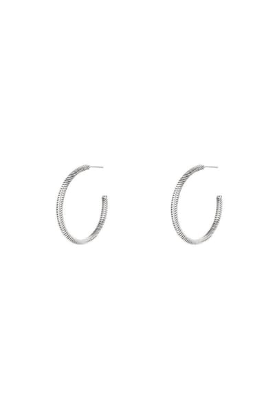 Stainless steel hoop earrings -Zilver-Oorbellen -Yehwang