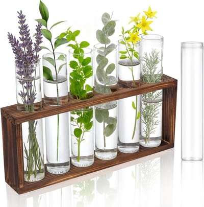 Set van 7 Heldere Proefbuizen van Glas 30 x 150 mm voor Bloemen, Specerijen en Keuken Decoratie met Houten Stand