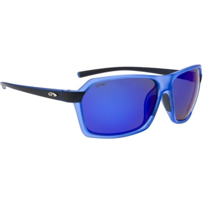 Goggle E923-2P Zonnebril Gepolariseerd Heren