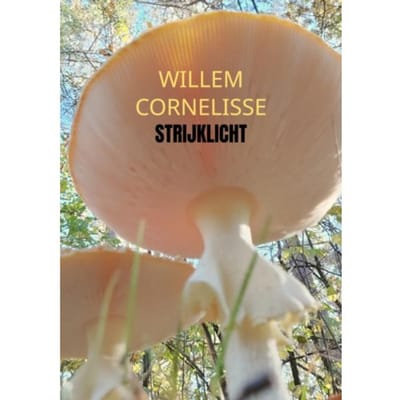 Strijklicht - Willem Cornelisse