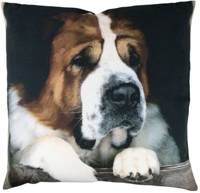 Canvas kussen st. bernard 50x50 cm
