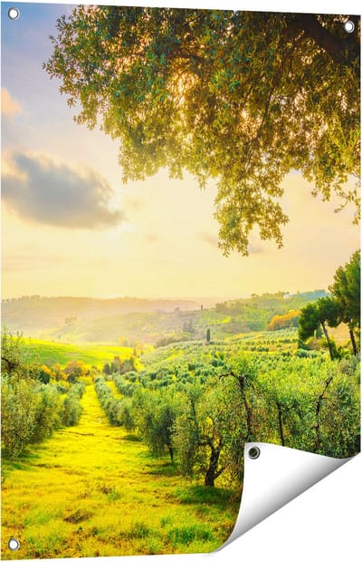 Gards Tuinposter Olijvenbomen - Olijvengaard - 60x80 cm - Tuindoek - Tuindecoratie - Wanddecoratie buiten - Tuinschilderij