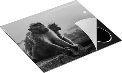 Chefcare Inductie Beschermer Twee Apen Bekijken de Zonsondergang - Zwart Wit - 60x50 cm - Afdekplaat Inductie - Kookplaat Beschermer - Inductie Mat