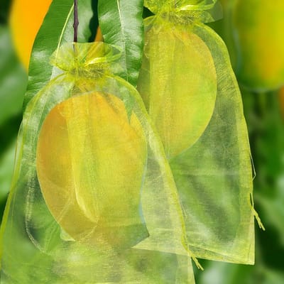 Fruithoes met trekkoord - 50 stuks - Plantenbeschermhoezen - Fruithoes - Beschermzakjes voor fruit en groenten - Fruithoezen - Beschermzakjes - netzakken - Druivenbeschermzakken - bescherming tegen insecten, vogels en eekhoorns - 17 x 23 cm - Groen