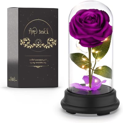 Rozenbloem Cadeau - Bloem Decoratie - Cadeau Geven - Met LED Verlichting - Glazen Koepel - Paars
