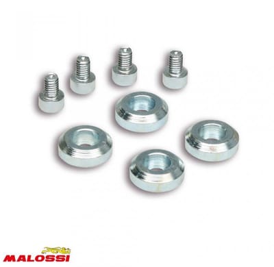 Galet rouleau de variateur Malossi pour Mobylette Peugeot 50 103 HRO Après 1986 Neuf
